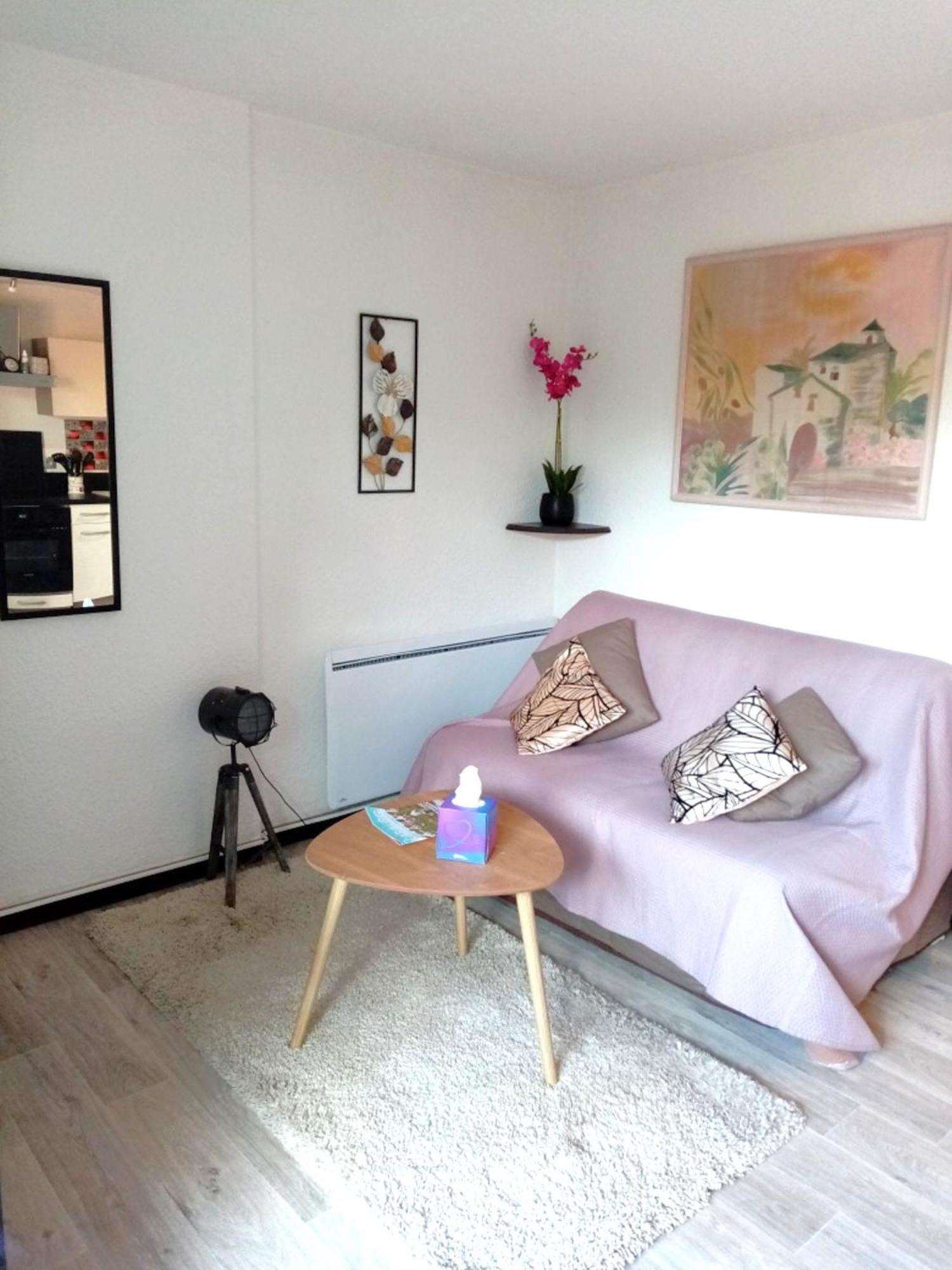 Cabourg Agreable T2 Residence Calme - Terrasse 20M2 - Animaux Bienvenus Esterno foto